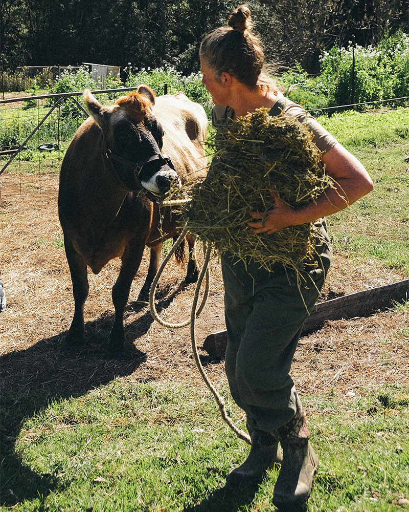 no nasty inputs at winderong farm