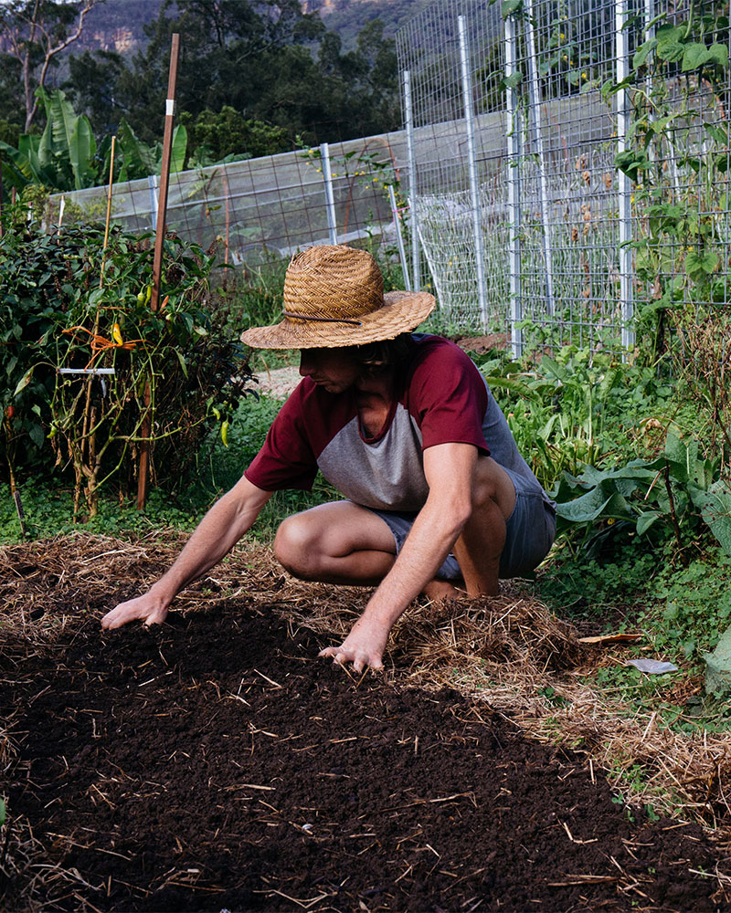 permaculture at winderong farm