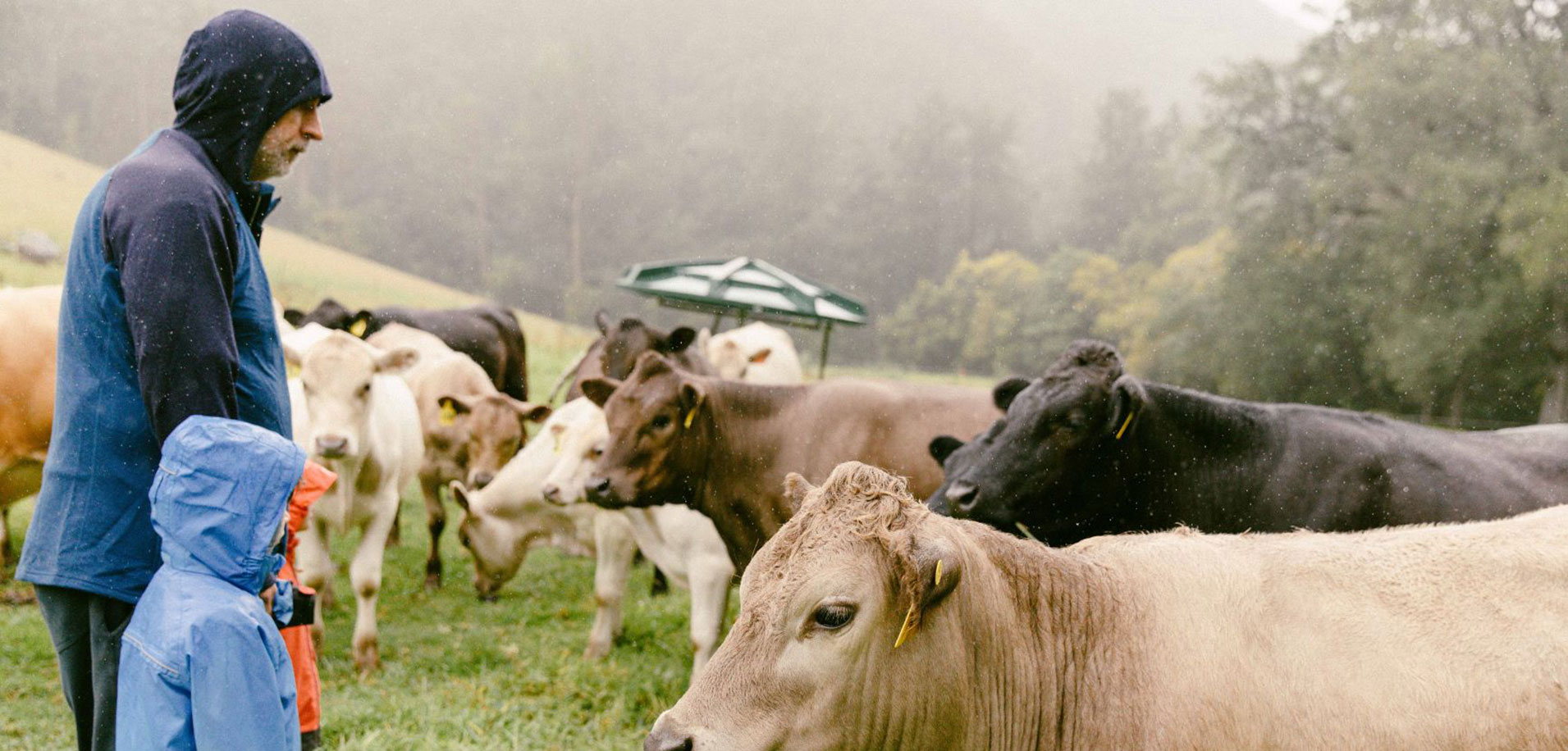 Animal Care - Regenerative Stewardship Opportunity