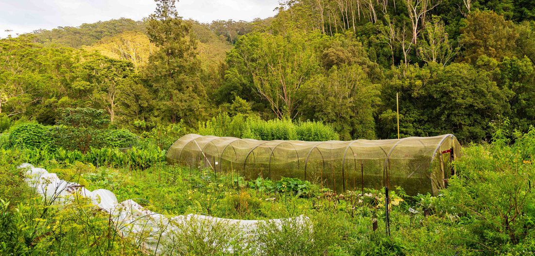 Growing Regenerative Stewardship Opportunity