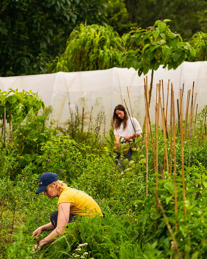 Winderong farm kangaroo valley