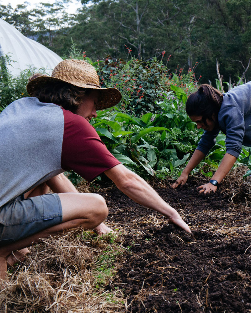 volunteers at winderong farm kangaroo valley